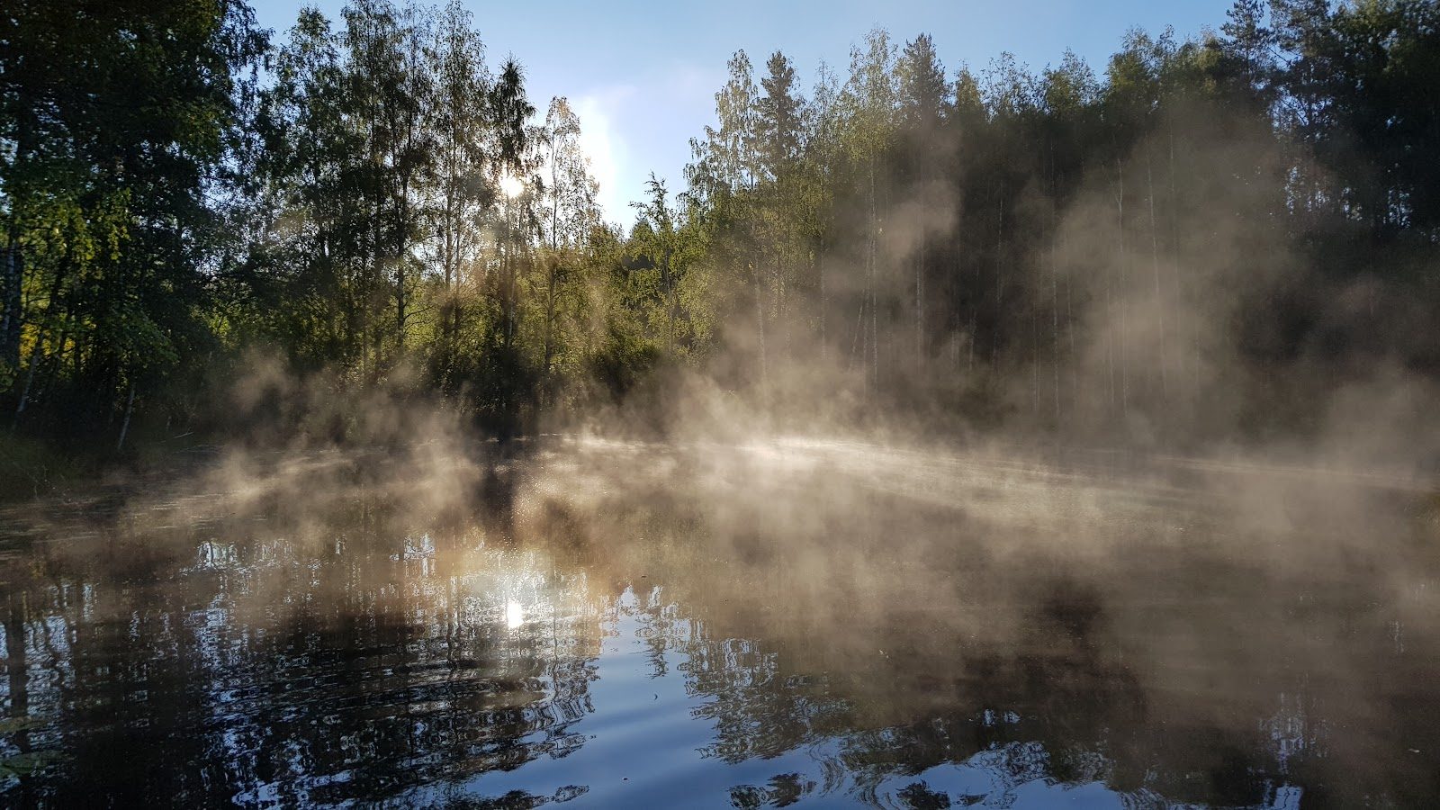 Usvaa järven yllä aamulla, vastaranta häämöttää sumun takaa.